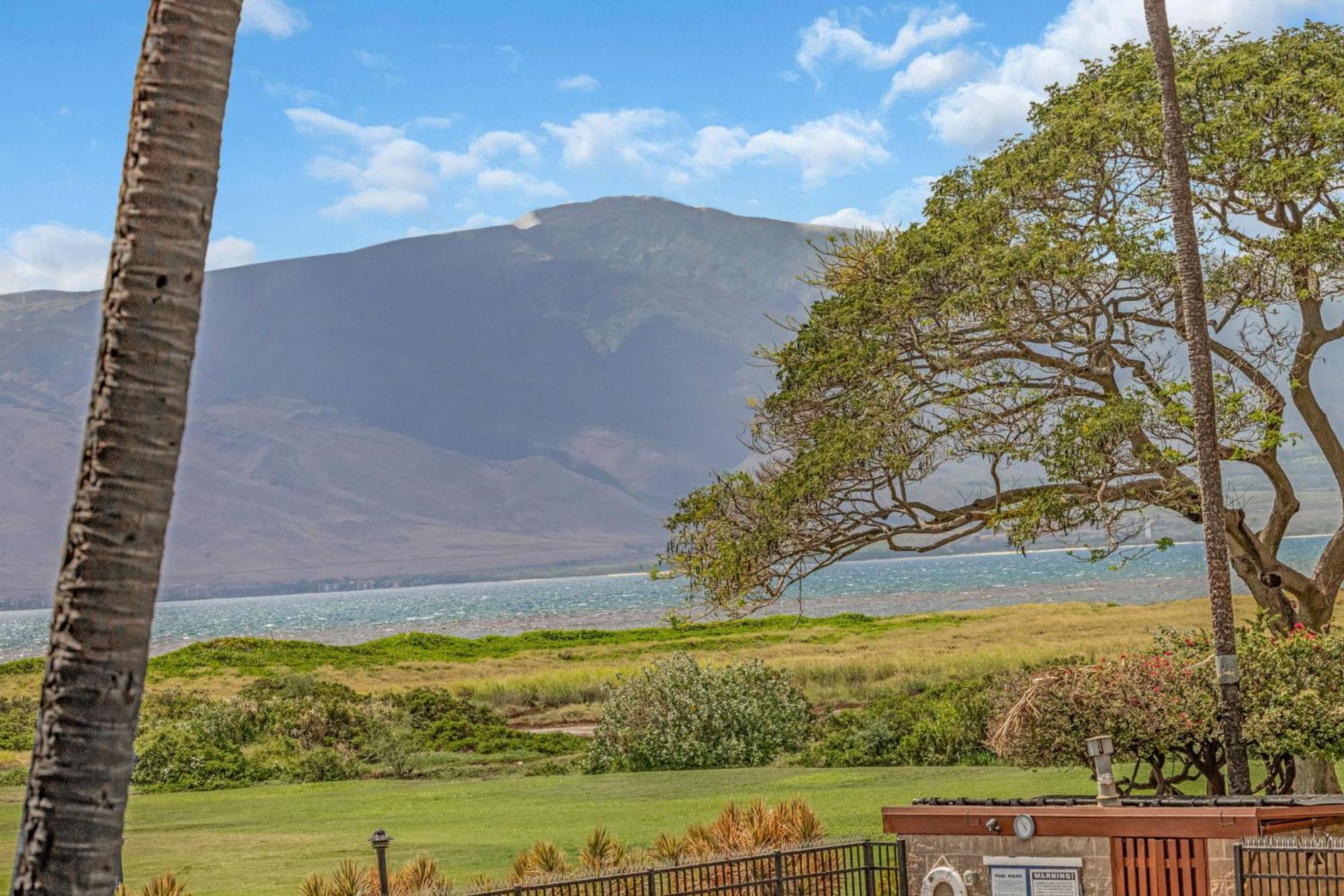 Appartamento Kauhale Makai 230 Kihei Esterno foto